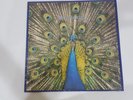 The Bluetones-Expecting to Fly Vinyl LP #V35B