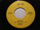 Super Rare Northern Soul Funk 45, Anubis, Ecology ORIGINAL Salt City SCR-A-001