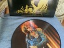 NEIL DIAMOND - THE JAZZ SINGER - PICTURE DISC 2 SIDES   2 DISCS