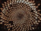 Scale the Summit - Collective