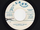 Uptempo Virginia C&W HUNTER JOHNSON Your Sinful Heart/After All Love LARK M-HEAR