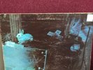 Vinyl Records... Free ..Tons Of Sobs - ISLAND Label
