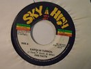 FIRE FACTS Earth In Turmoil SKY HIGH Digi Roots Reggae 7” Killer HEAR L20