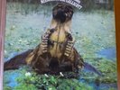MISSISSIPPI JOE CALLICOT Presenting The Country Blues LP BLUE HORIZON 1970 UK
