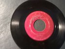 Elmore James Blues 45 