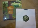 Paul Westerberg Songs From Open Season 10
