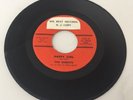 THE SHERRYS HAPPY GIRL/PUT YOUR ARMS AROUND ME 1966 HOT 1002 RARE EX