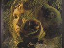TANYA TUCKER: Delta Dawn LP Sealed (2 big tears in shrink) Country