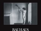 BAUHAUS In A Flat Field Vinyl LP With CD Insert REMASTERED NEW & SEALED