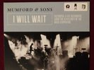 Mumford and Sons RARE I Will Wait vinyl single. #1000/1000