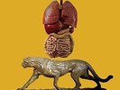 Three Sided Tape Volume 1 [VINYL] Lil Ugly Mane Vinyl