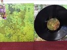 ANIMAL COLLECTIVE Water Curses 12
