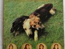 (Skin) The World of Skin - Ten Songs for Another World, 1990, LP