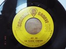 RARE MICHIGAN GARAGE PSYCH-COCONUT GROOVE 2033-FLOWER COMPANY-HEY JOE-45-NICE