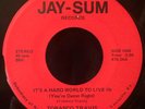 Tobasco Travis -It's A Hard World To Live In- Funk Psych Soul 45 Jay-Sum -Hear