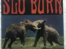 SLO BURN Amusing The Amazing NEAR MINT orange vinyl  QOTSA Kyuss John Garcia