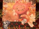 Nirvana - Heart Shaped Box 7” 45 Single PS Geffen GES 19191 Limited Edition 110%