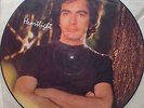 NEIL DIAMOND Heartlight PICTURE DISC Vinyl Original NEW Promotional  Limited Ed.