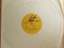 Dandy Warhols RIDE, WE LOVE YOU DICK Tim Kerr Single TEST PRESSING Near Mint