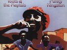 Toots and the Maytals - FUNKY KINGSTON VINYL LP - PRESSURE DROP - Reggae Classic