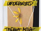 LP-TONIGHT ALIVE-UNDERWORLD -LP- NEW VINYL