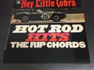 THE RIP CHORDS
