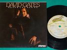 David Gates ?- Never Let Her Go BRAZIL ONLY 4 track 7