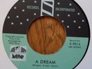 PEARL JONES - A DREAM - 7