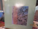 DIF JUZ - EXTRACTIONS 4AD CAD 505 IMPORT VINYL LP RECORD