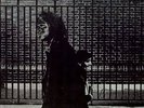 After the Goldrush [LP] by Neil Young (Vinyl, Aug-1970, Reprise)