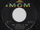 Northern Soul 45 - Roy Hamilton - The Panic Is On - MGM - mp3