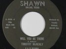 Sweet Soul/Funk 45 - Timothy McNealy - Will You Be There - Shawn - mp3 - rare