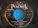 THE DIXIE HUMMING BIRDS 45RPM POOR PILGRIM OF SORROW / DEVIL CAN'T HARM A