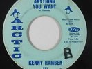 Northern/Deep Soul 45 - Kenny Hamber - Anything You Want - Arctic - mp3