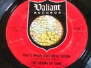 Wild '66 L.A. Garage Fuzz Pounder 45 Grains of Sand That's When Happiness HEAR