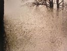 BON IVER - For Emma Forever Ago - Vinyl (LP)