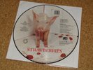 The Damned - Strawberries - LP Picture Disc (England) DOJO Records DOJOPD 46