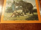 Hugh Masekela LP I Am Not Afraid SIGNED