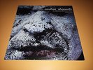 Andrea Chimenti ?– La Maschera Del Corvo Nero Ed Altre Storie LP VINYL RARISSIMO