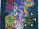 SIOUXSIE AND THE BANSHEES - Nocturne - DLP