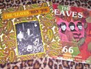 THE LEAVES   2 x 198/2 reissue vinyl LP's. Psych. M/VG.