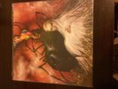 Circa Survive Appendage