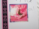 Django Django Hand signed L.P *Vinyl*