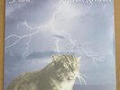 SMOG (Bill Callahan) - Knock Knock ***US-VINYL-LP***NEW***sealed***