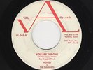 '62 Txs DooWop/Teen HONEY & TEARDROPS You Are the One/Something To Remember HEAR