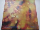 STEAMHAMMER 'REFLECTION' HEAVY BLUES UK ORIG '69 NICE COPY