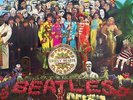 THE BEATLES - SGT PEPPER'S LONELY HEARTS CLUB BAND - PICTURE DISC / LP VINYL