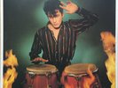 Alain BASHUNG  