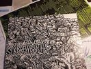 SIXBREWBANTHA LP infest spazz dropdead insect warfare hatred surge idiots parade