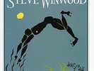 STEVE WINWOOD-STEVE WINWOOD:ARC OF A DIVER NEW VINYL